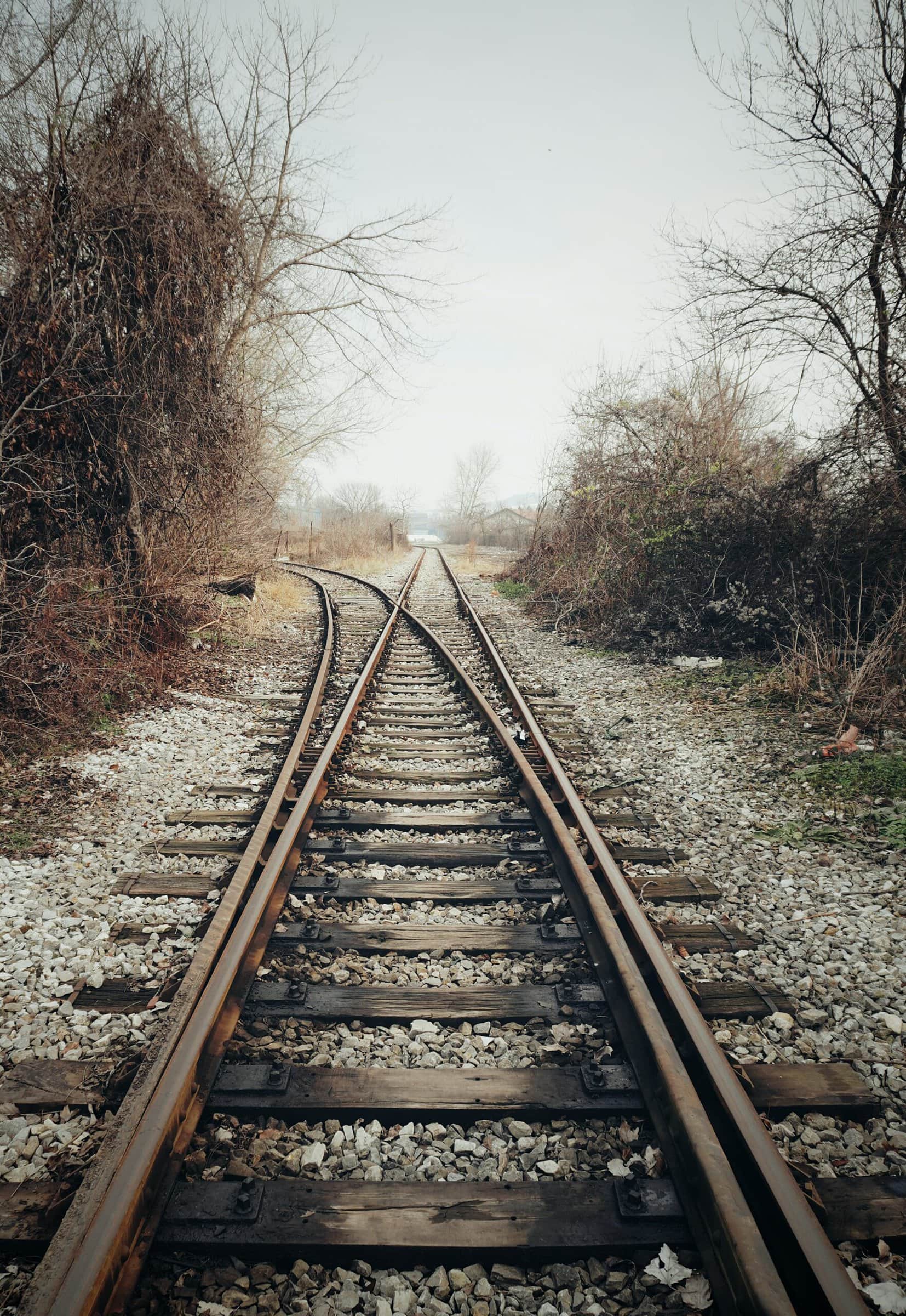 Picture of train tracks diverging. Trees line the sides.